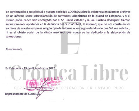Informe-Codelsa-La-UDEF-los-fiscales-y-la-juez-detuvieron-a-decenas-de-personas