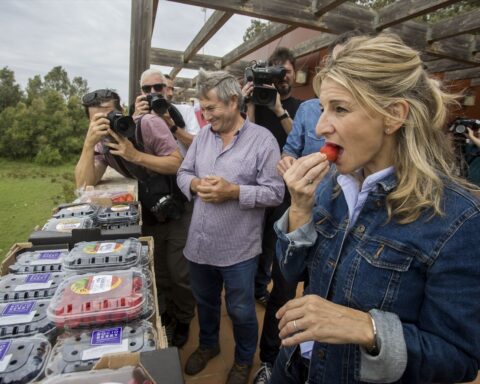 Fresa Huelva boicot Crónica Libre