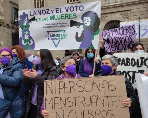 Partido Feministas al Congreso