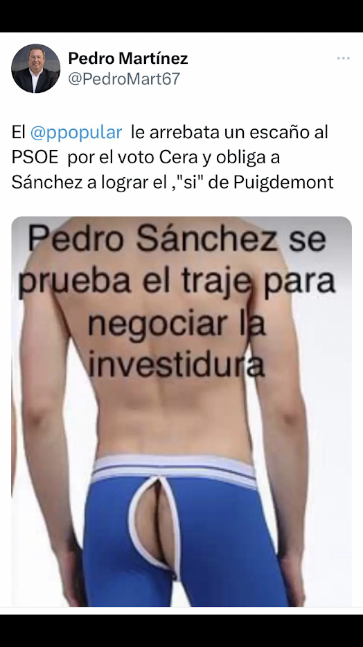 PP tuit Pedro Martínez
