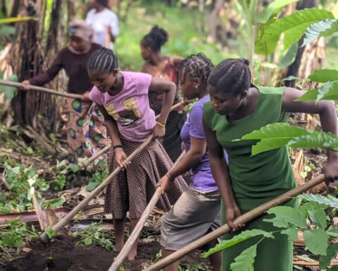 niñas del Congo