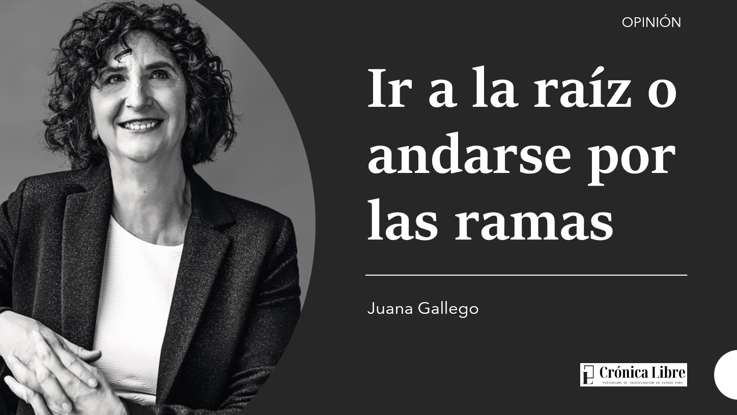 raíz