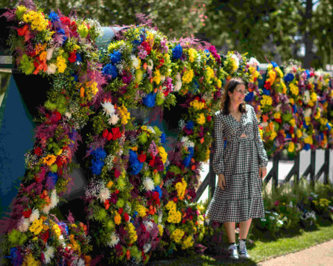 Festival Zaragoza Florece
