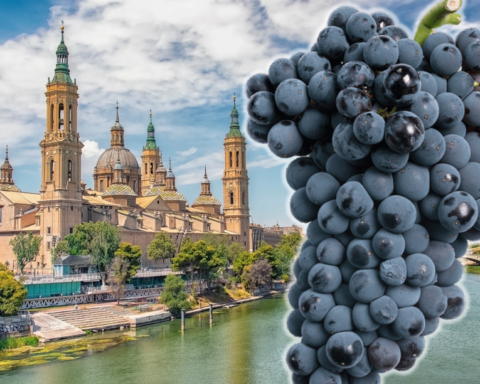 garnacha