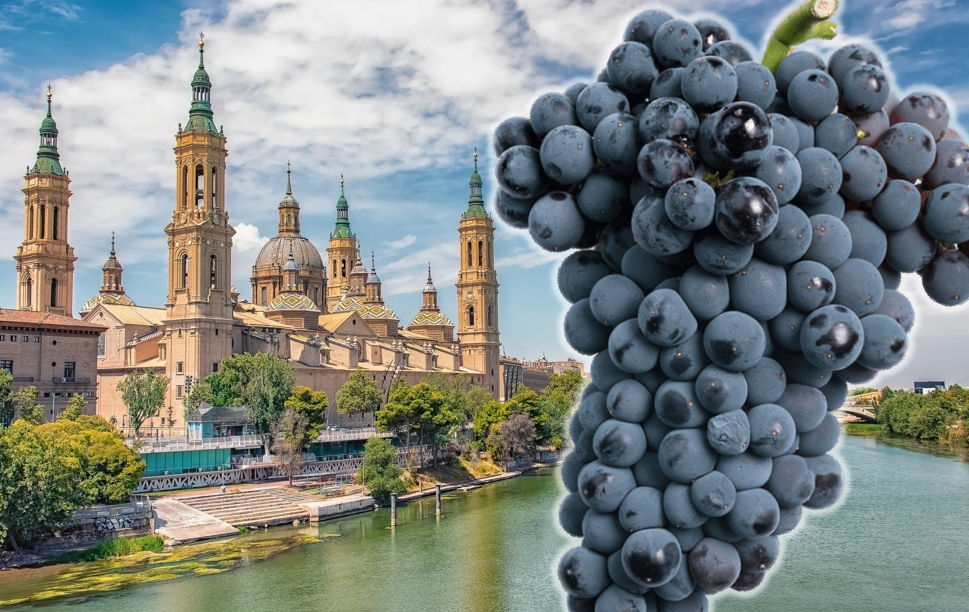 garnacha